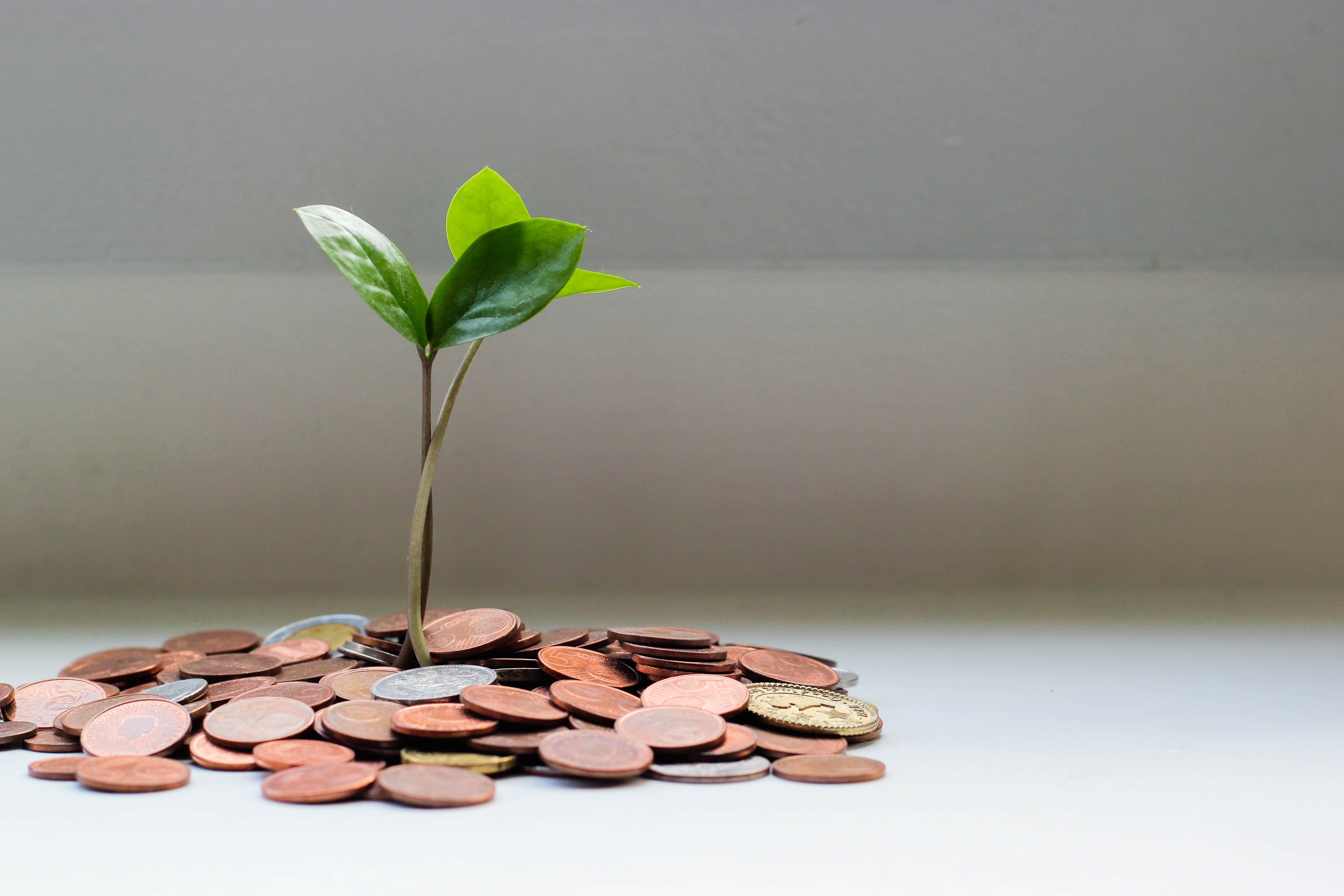 Saving Money On Auto Insurance In 2023: What To Expect?